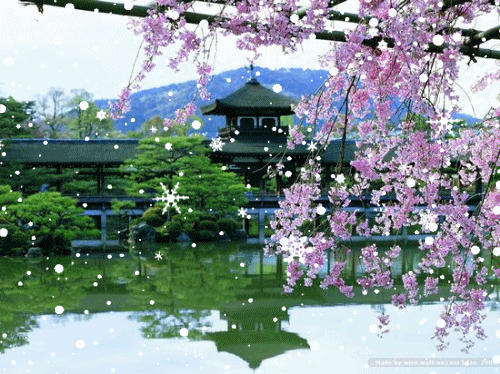 【唯美】的樱花世界